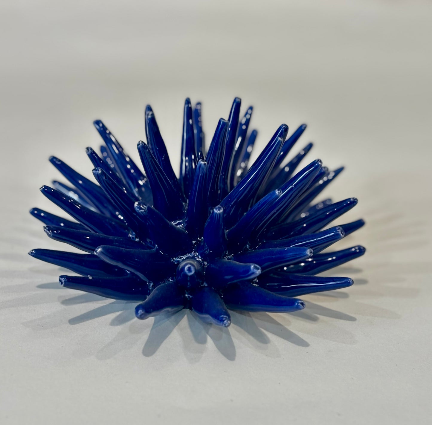 Riccio di mare BLU