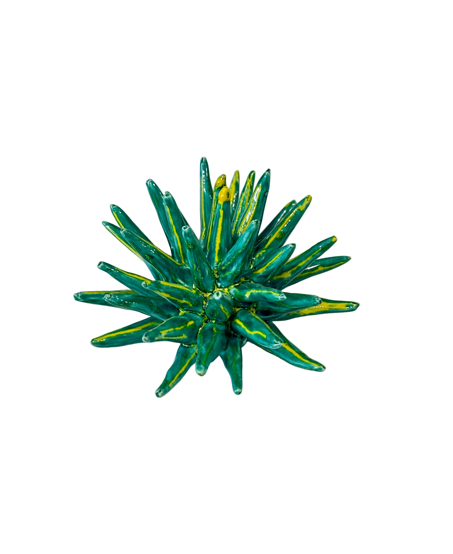 Riccio di mare verde con striature giallo acceso