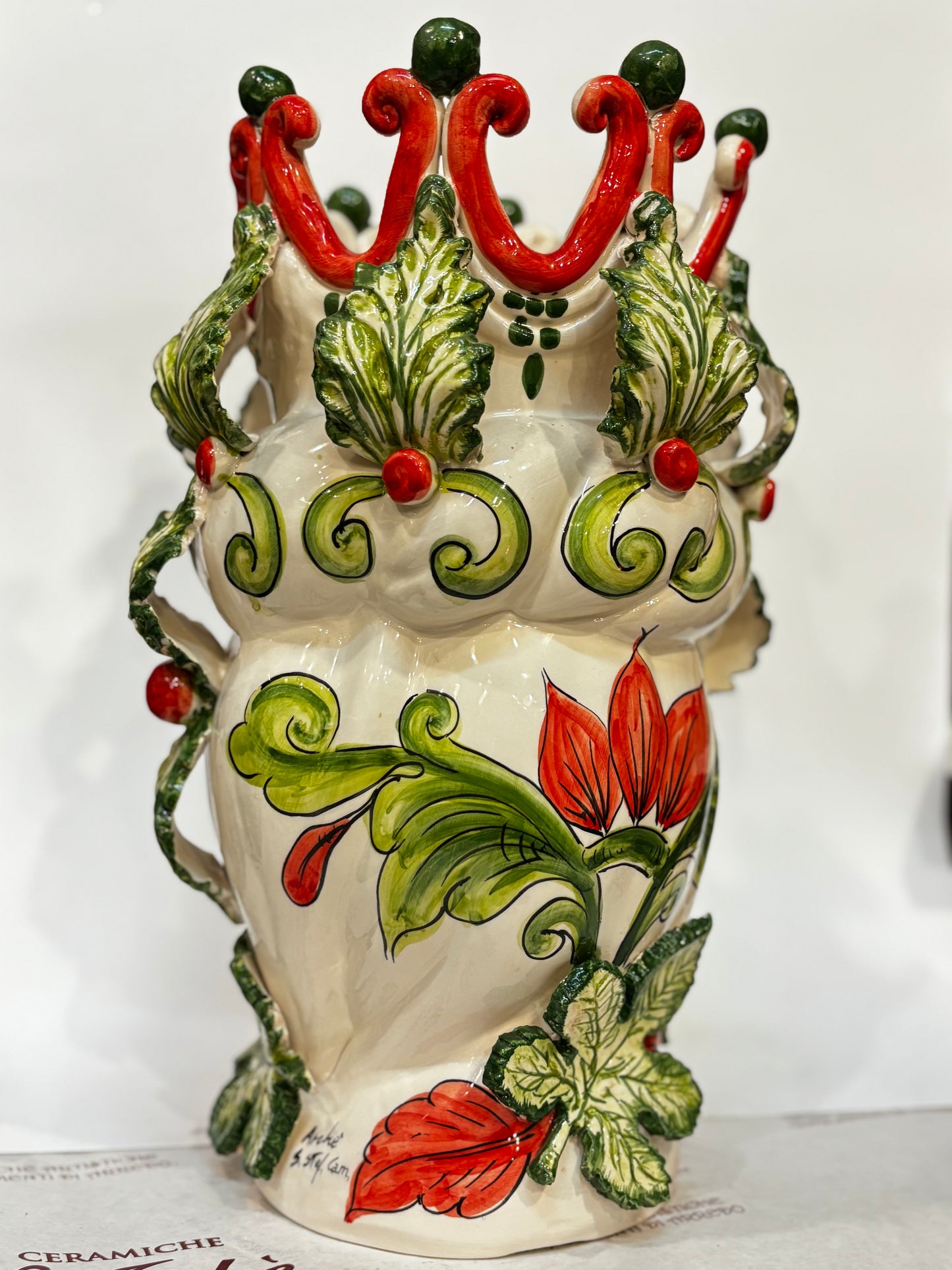 Testa di moro (femmina)