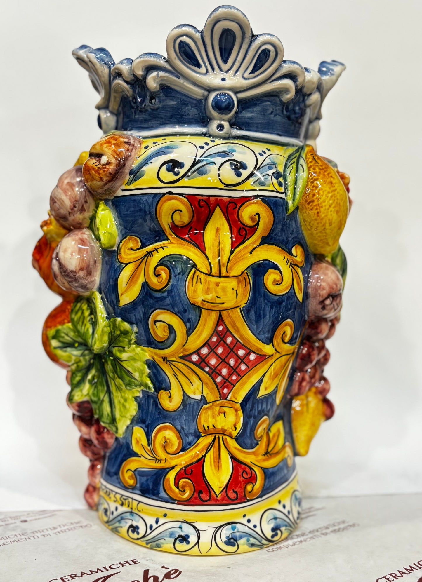 Testa di moro (femmina)