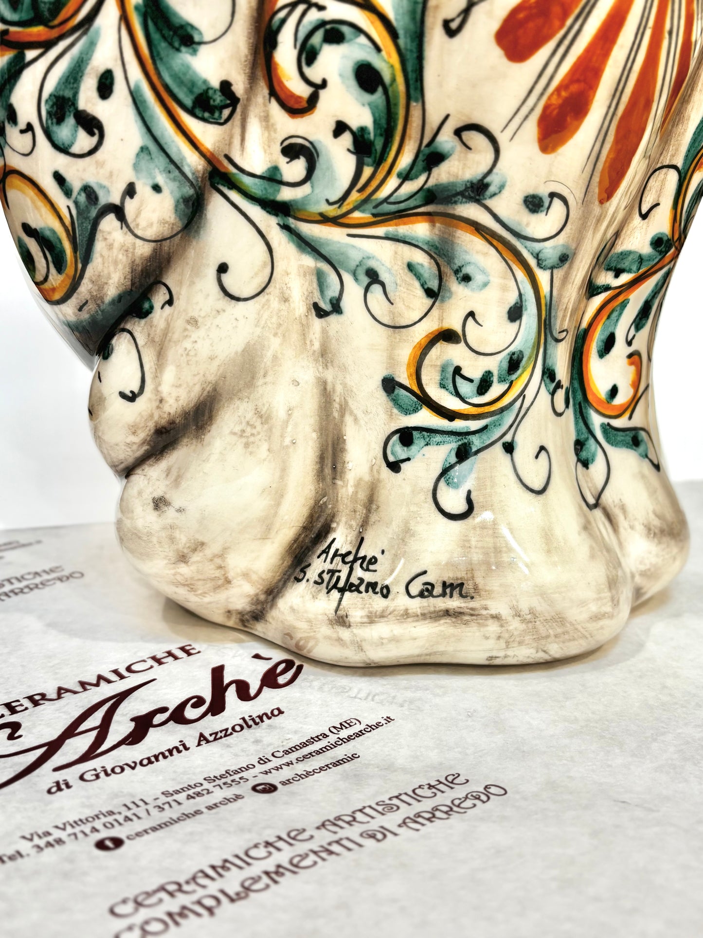 Testa di moro (femmina)