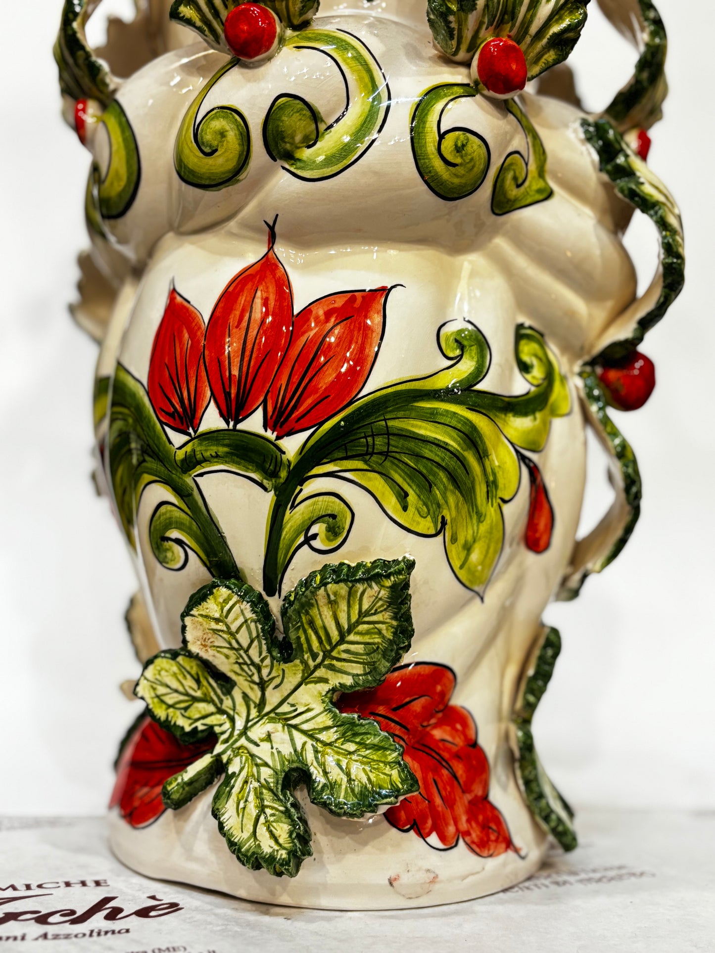 Testa di moro (femmina)